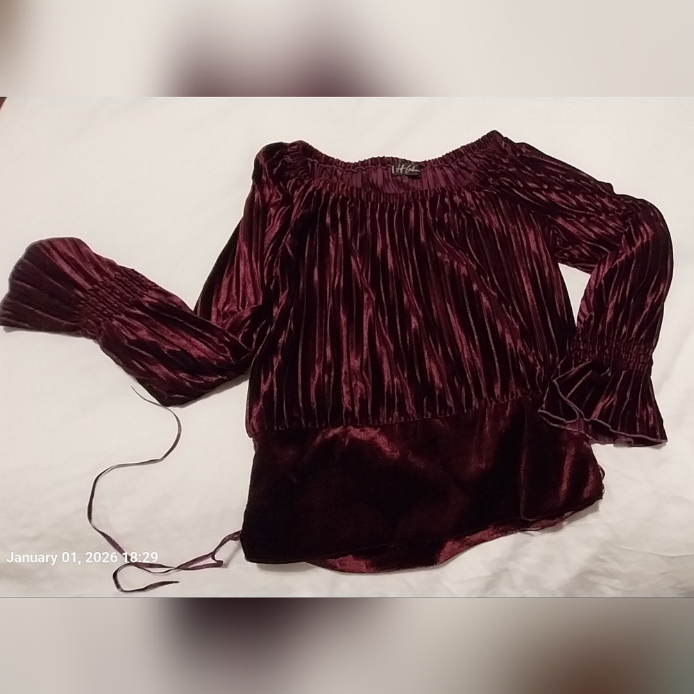 Mada In France Chic Velvet Blouse in Deep Burgundy